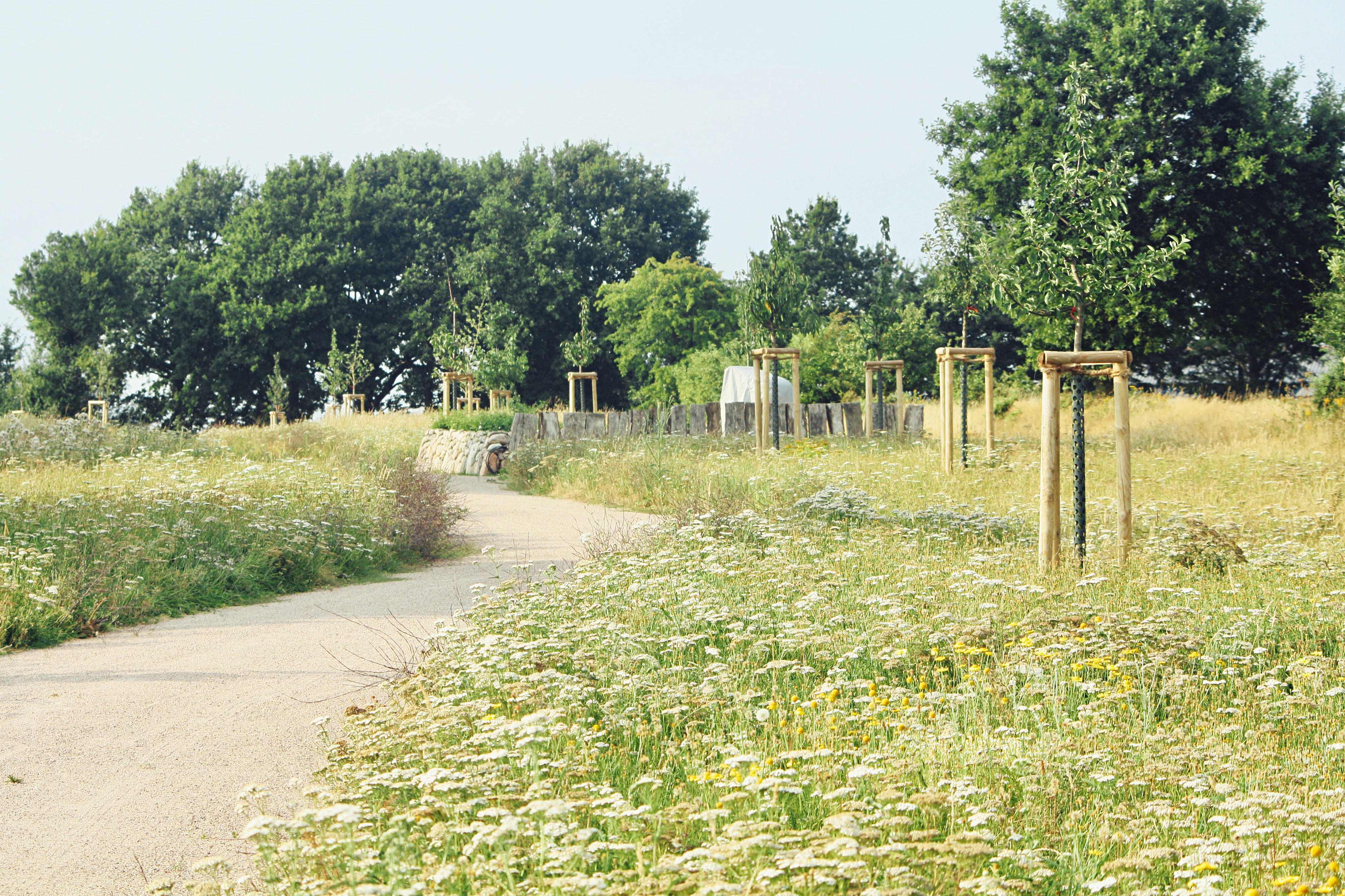 im Spätsommer 2020