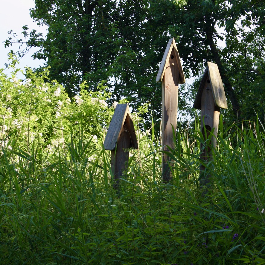 Nistkästen Hardenhof/Nordstrand